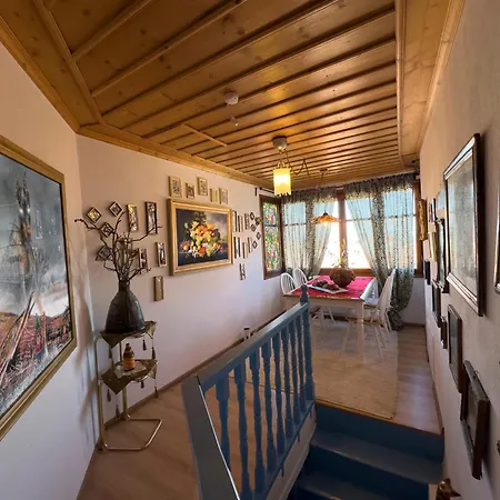Renovated Old Manor House With Yard Semesterbostad *