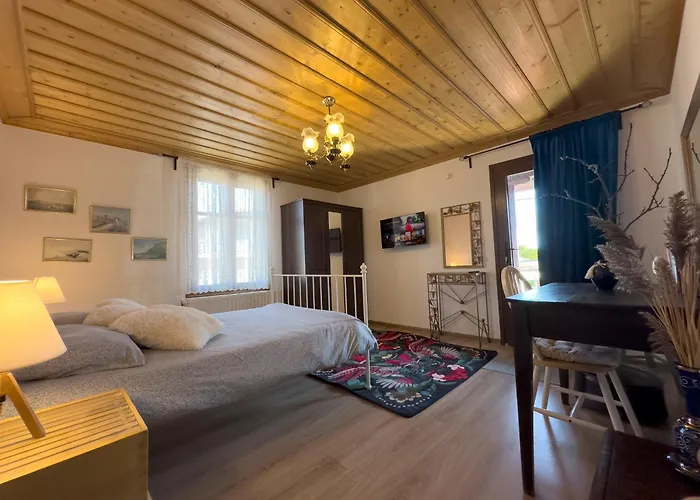 Renovated Old Manor House With Yard Arnaia