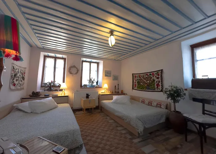 Renovated Old Manor House With Yard * Arnaia