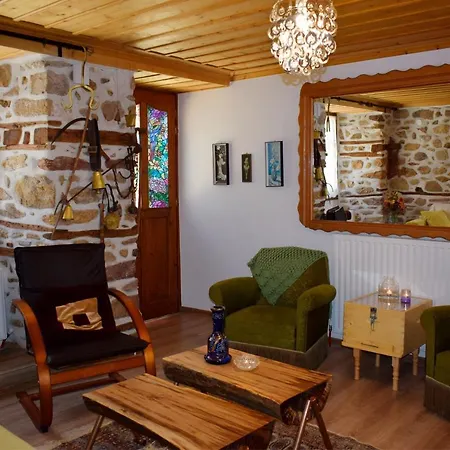 Hébergement de vacances Renovated Old Manor House With Yard