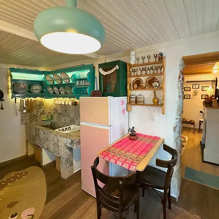Renovated Old Manor House With Yard