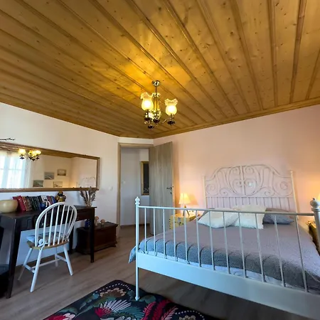 Renovated Old Manor House With Yard Holiday home Arnaia