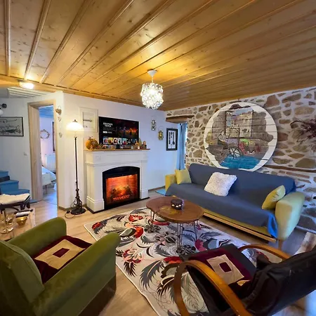 Renovated Old Manor House With Yard Holiday home