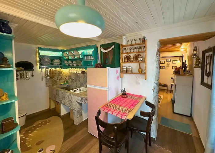 Renovated Old Manor House With Yard